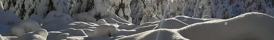 Weg in die Stille - Andrea Schmidt